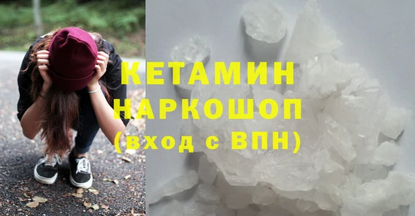 шишки Новодвинск