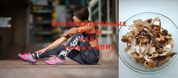 гашик Апатиты