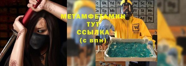шишки Новодвинск