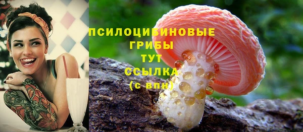 шишки Новодвинск