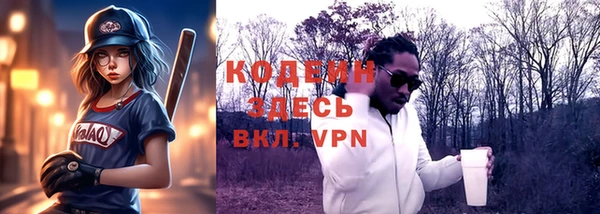 шишки Новодвинск
