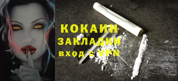 шишки Нефтегорск