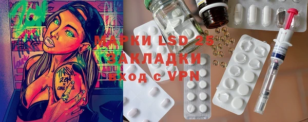 шишки Новодвинск