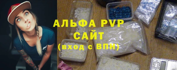 шишки Новодвинск