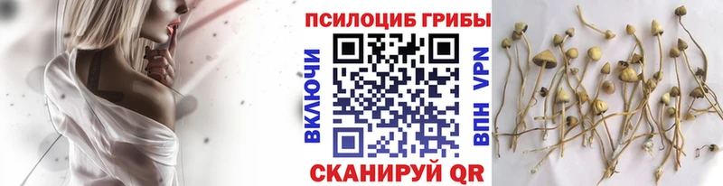 Псилоцибиновые грибы мицелий  Новая Ляля 
